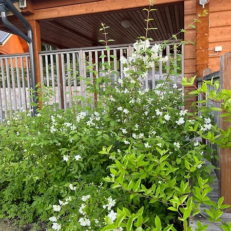 Aurora Villa Kouvola